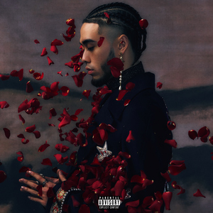 美女被黑人大鸡巴日得好爽
