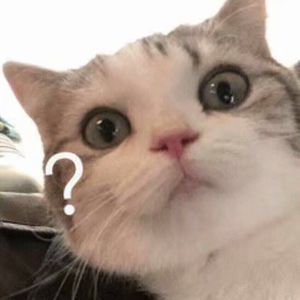 美女被黑人大鸡巴日得好爽
